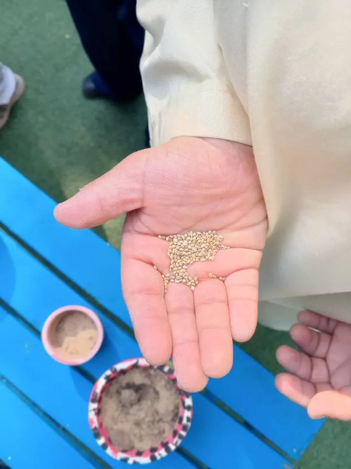 WhatsApp Image 2026-01-14 at 2.50.06 AM (1)