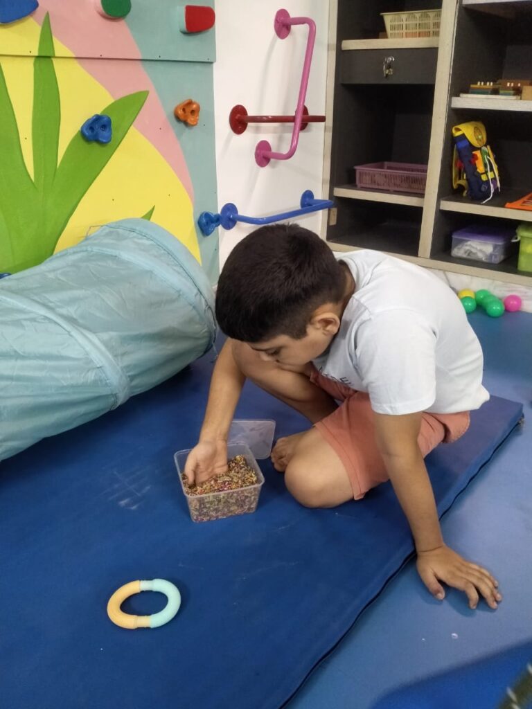 WhatsApp Image 2026-01-17 at 12.07.43 PM